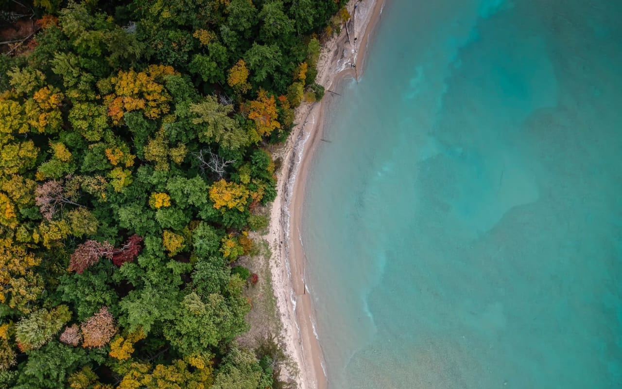Leelanau Aerial Hardwoods Lake Michigan