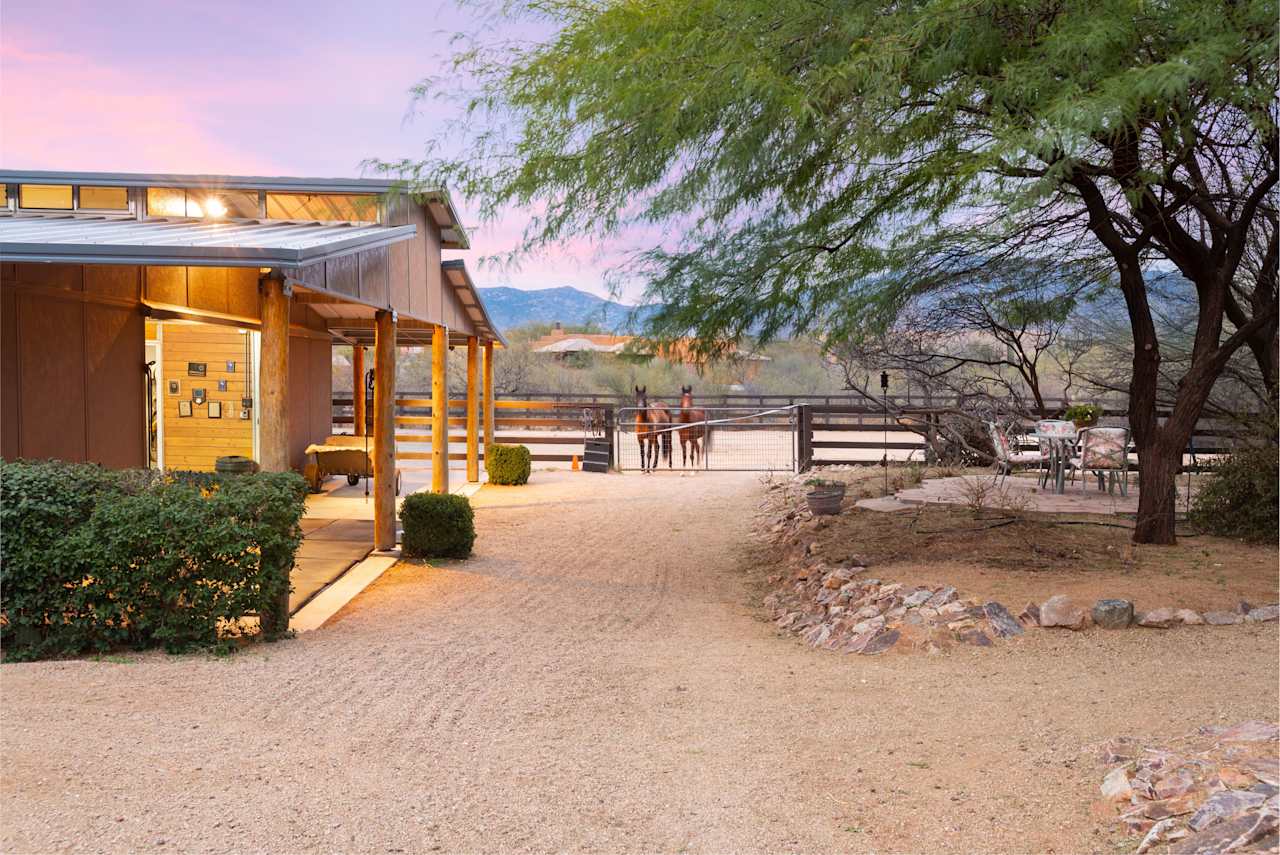 Horse Properties Brenda O'Brien Team