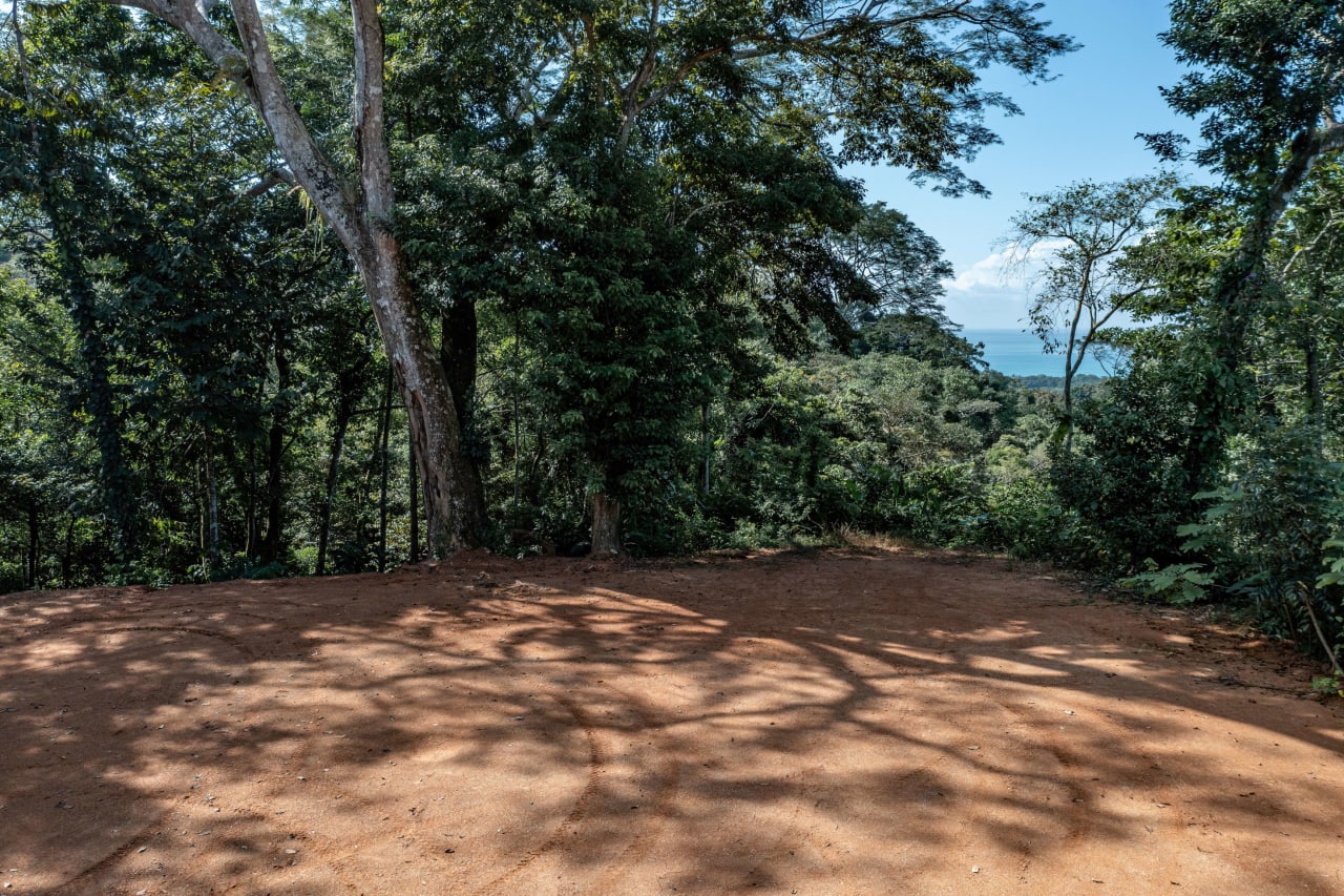 Secluded Ocean view Land in Dominical, Costa Rica