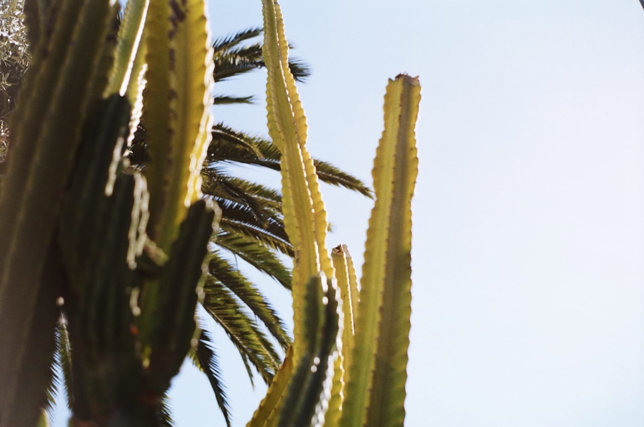 Encinitas