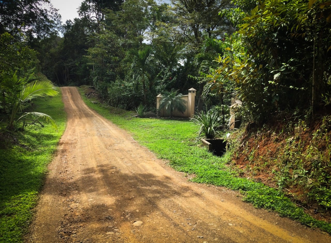 2 Acres of Paradise in Platanillo with Legal Water.