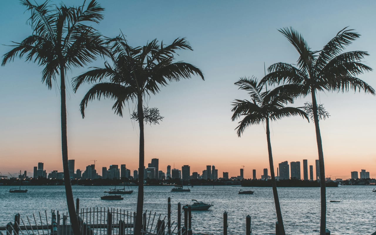 Architectural Highlights of Miami's Skyline: Skyscrapers and Landmarks