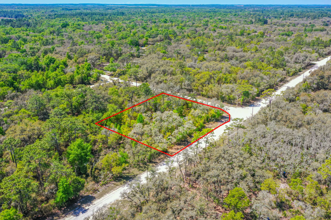 PRIMROSE LANE King & Associates Real Estate