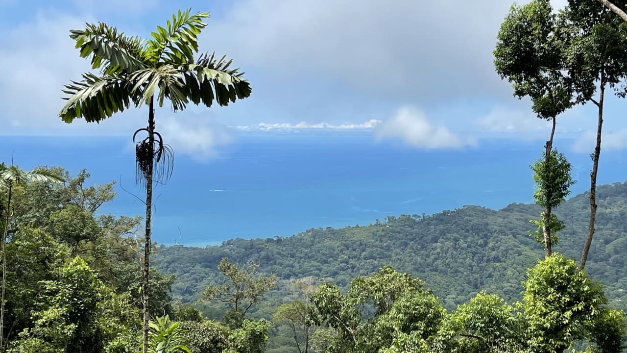 Ocean View Lot in the Exclusive Uvita Mountains. 