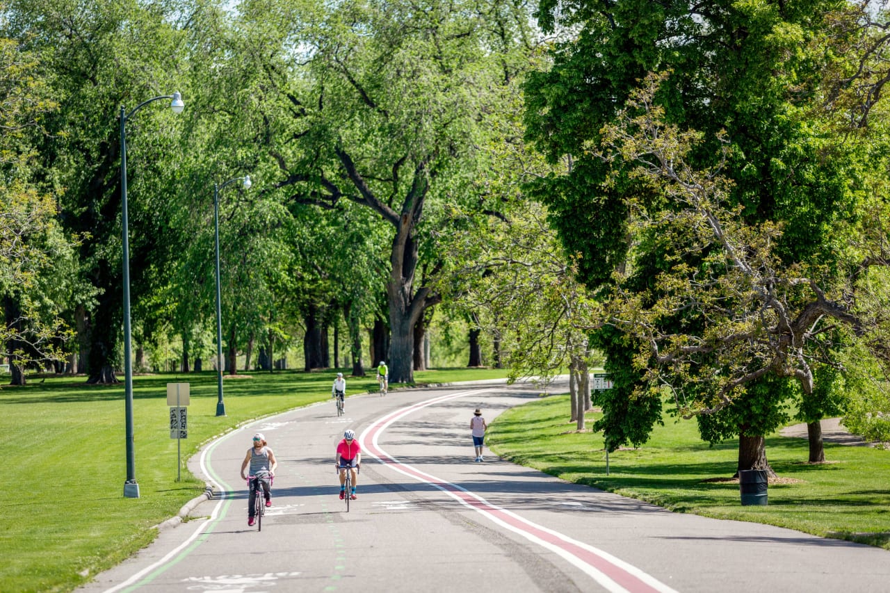 people biking and exercising on the road surrounded with trees
