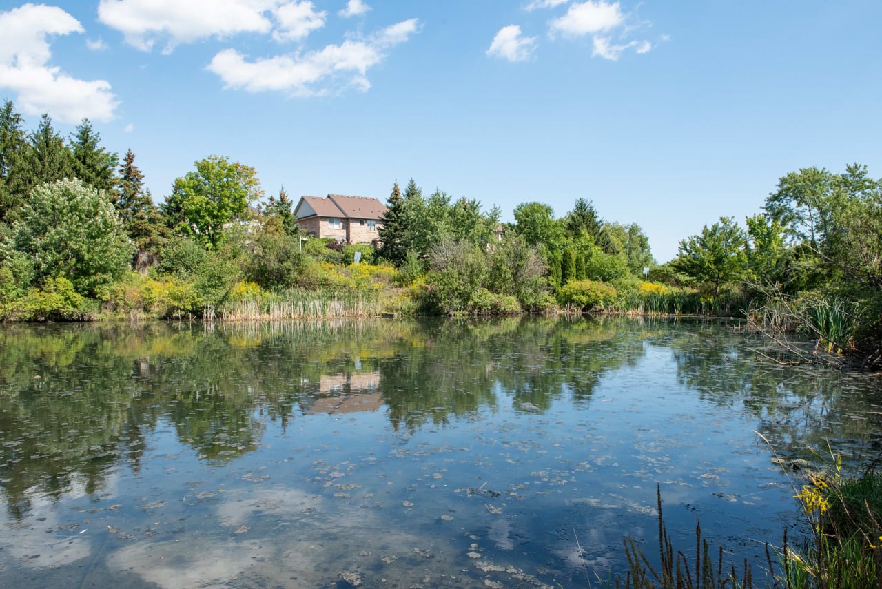 West Oak Trails Neighborhood Guide Goodale Miller Team