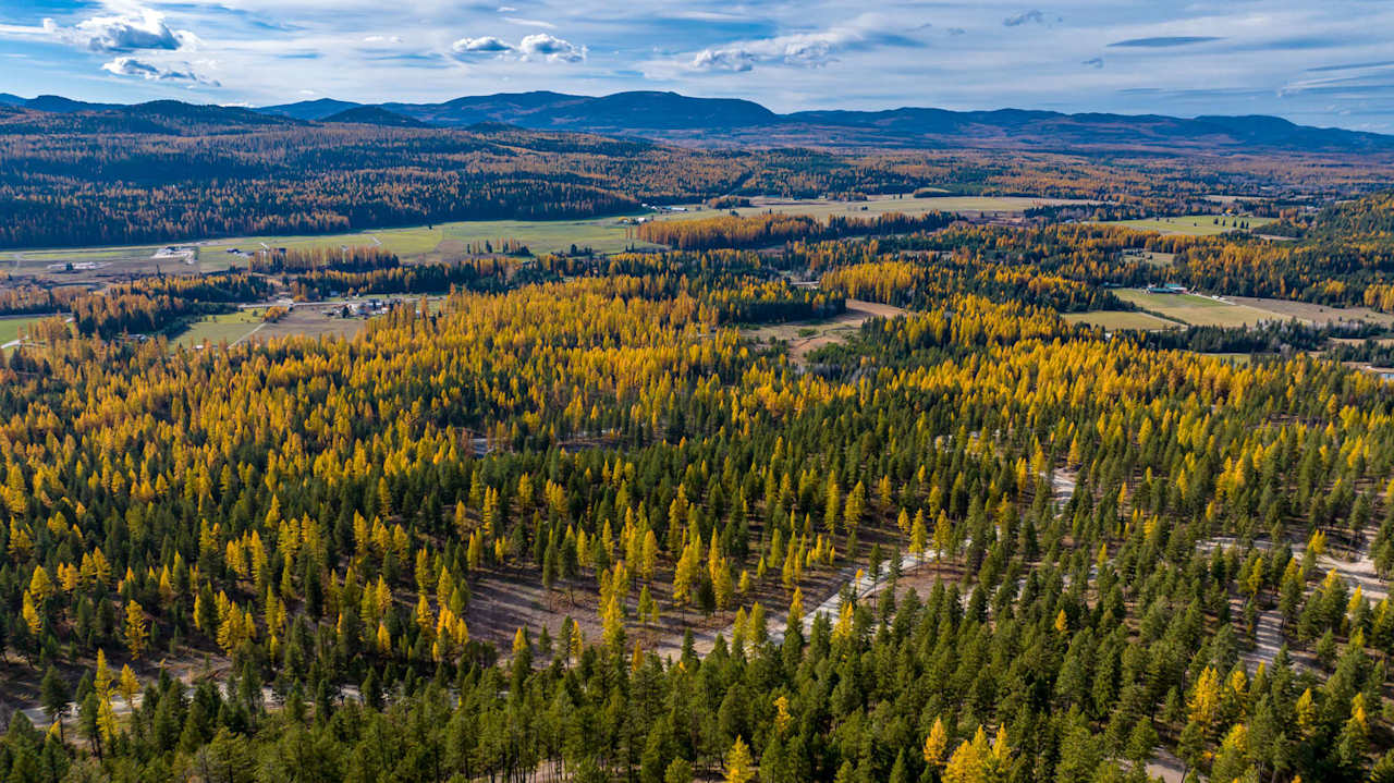 Whitefish Ridge Estates Community Guide Slezak Group Montana Real