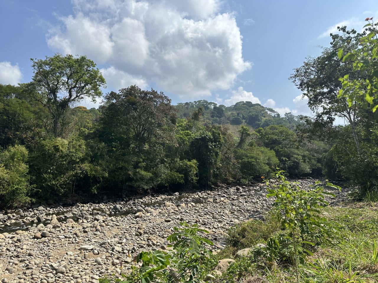 INVESTMENT OPPORTUNITY IN PLATANILLO – YOUR FIXER-UPPER DREAM WALKING DISTANCE TO NAUYACA WATERFALL