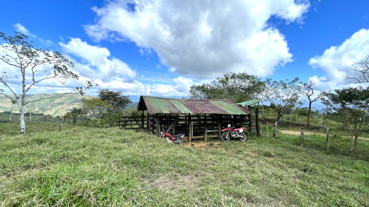 OVER 14 ACRES FARM IN ALTO DE GUADALUPE