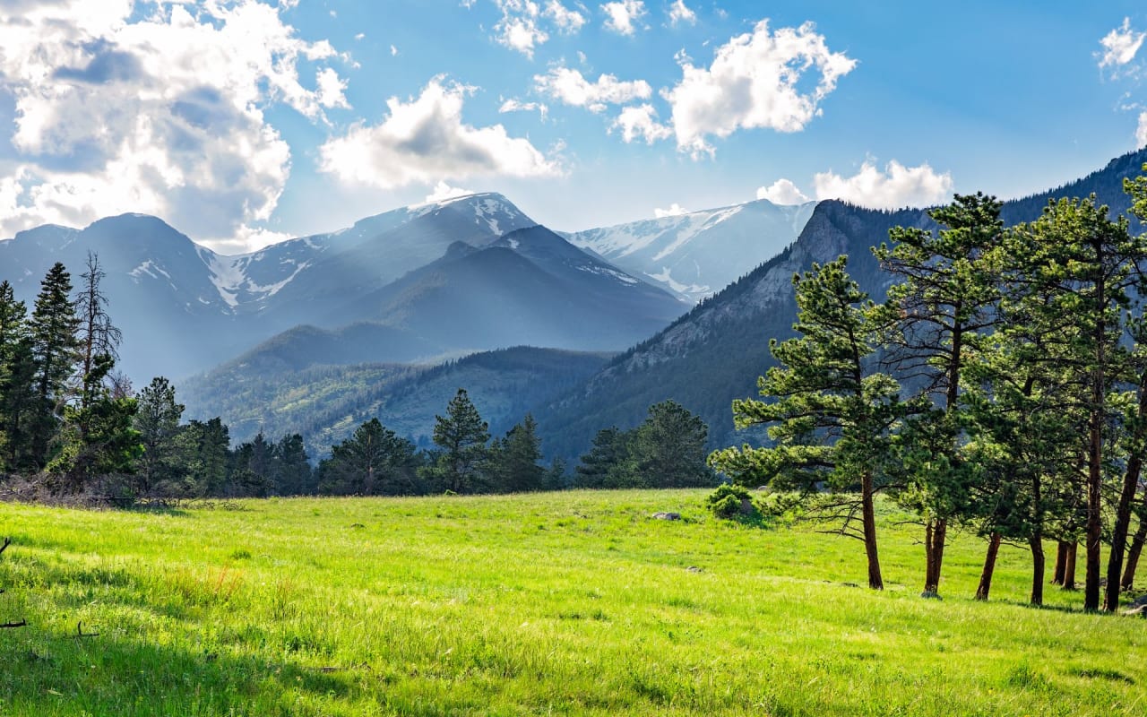 Lush green field with mountains in the background