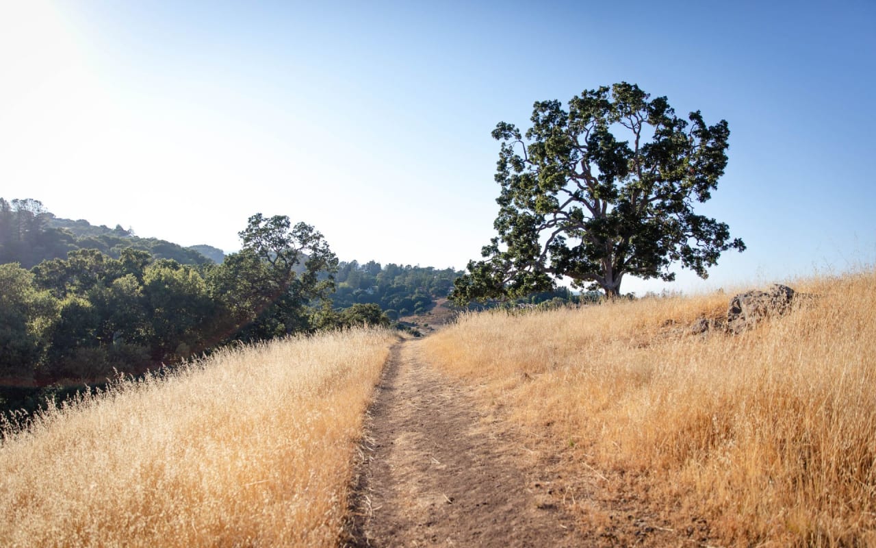 Los Altos / Los Altos Hills