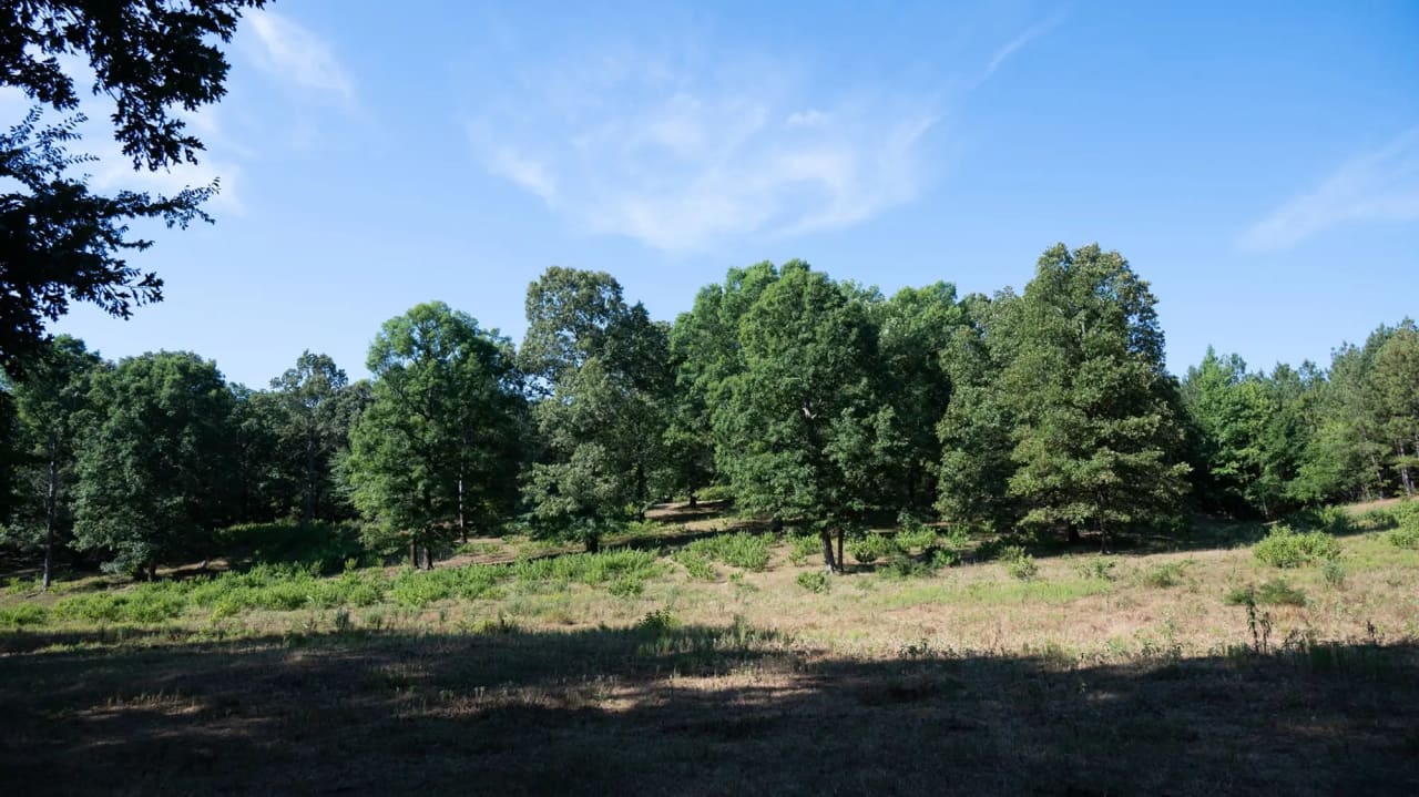 Camp Creek Ranch in Broken Bow, Oklahoma