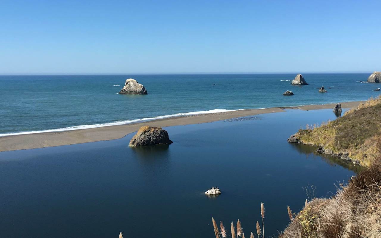 Top Sonoma Coast Real Estate Agents