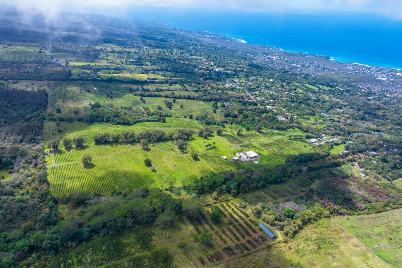 The Coffee Grounds 85.51acre Coffee Farm in Holualoa