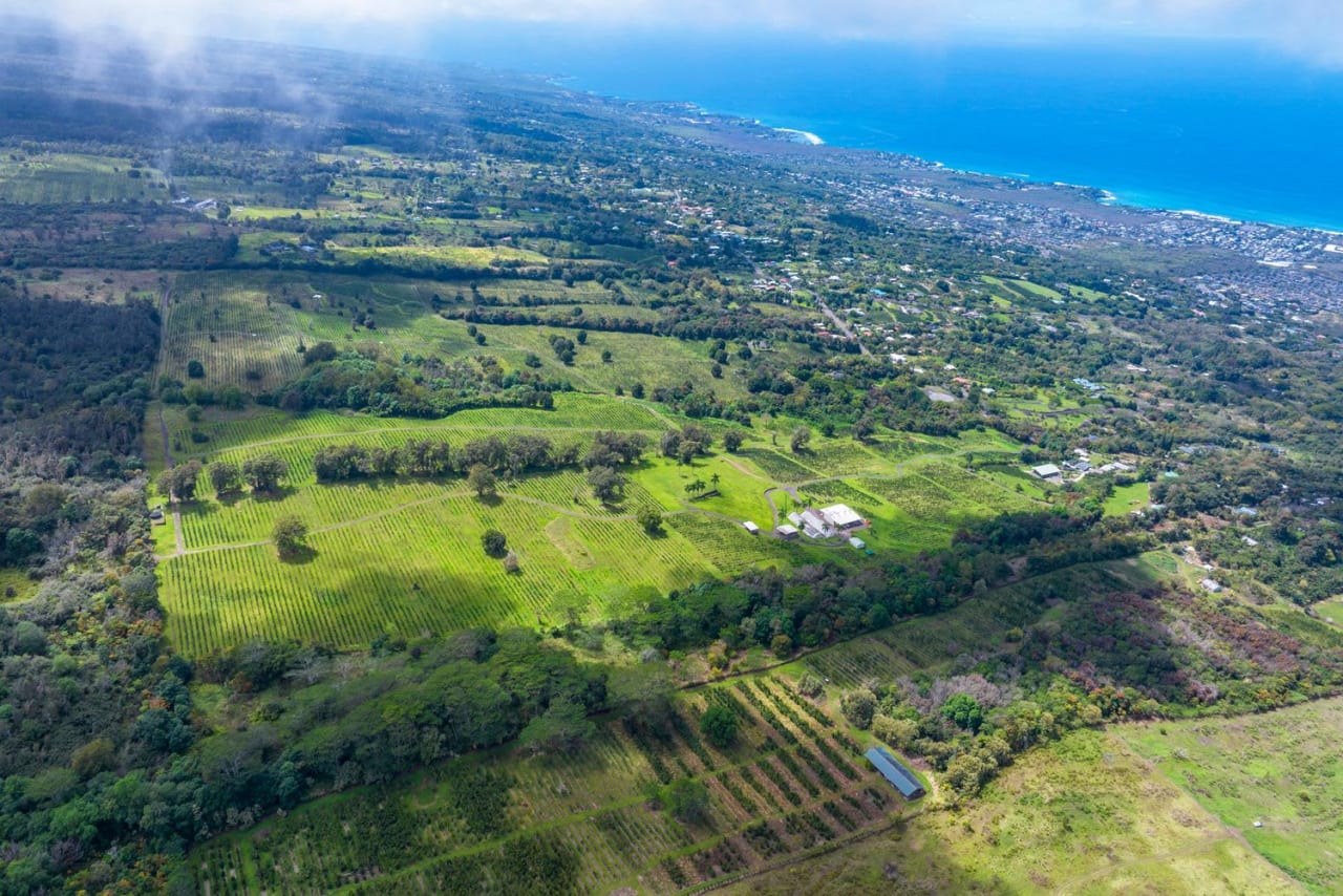 The Coffee Grounds: 85.51-acre Coffee Farm in Holualoa