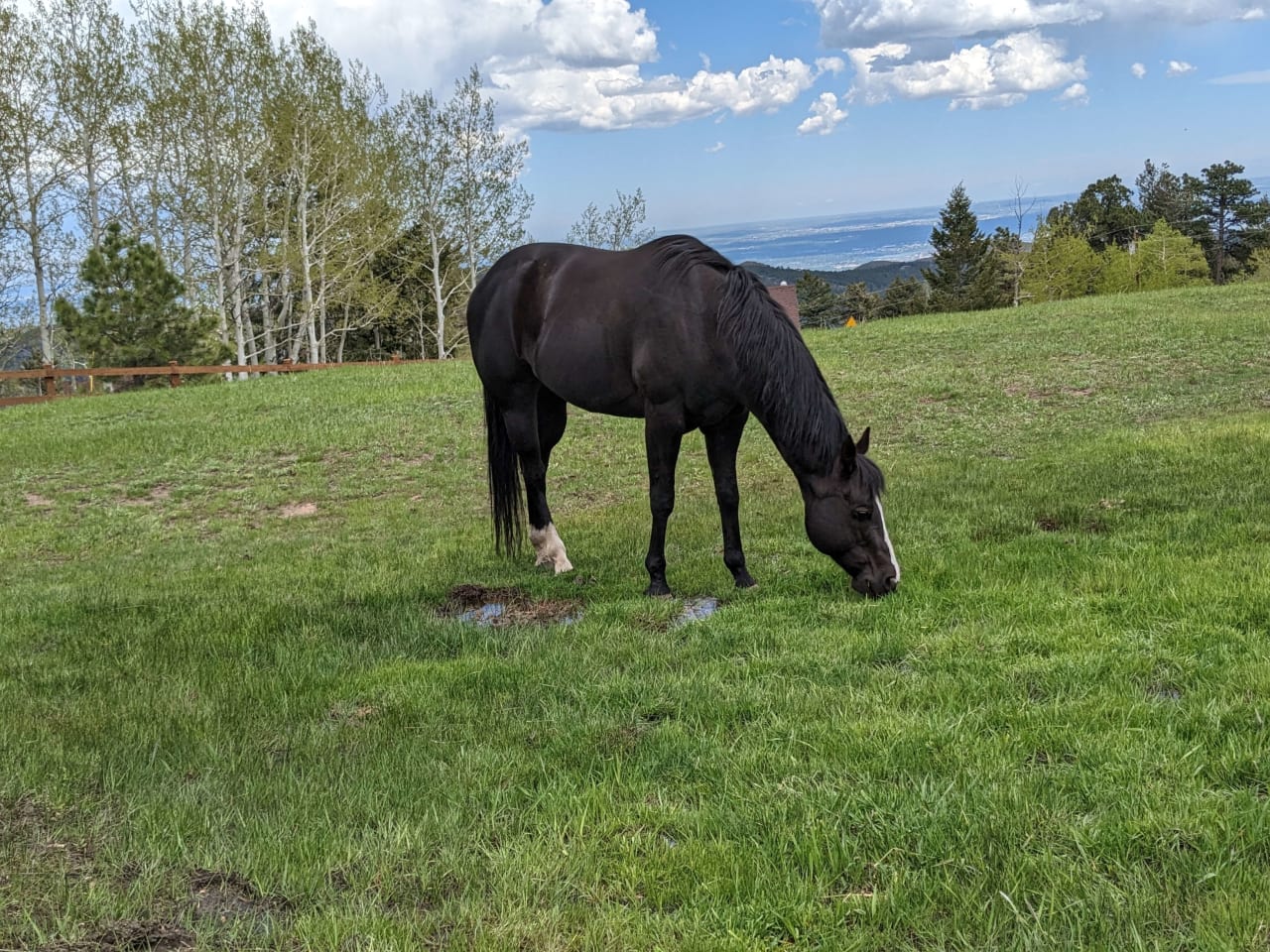 Doubleheader Ranch