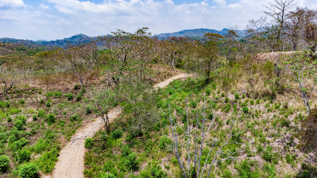 Finca Sueño del Mar between Playa Sámara and Playa Carrillo