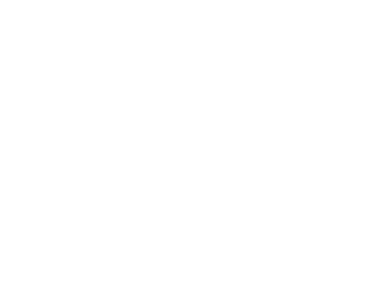 Vivian Real Estate Group Southlake Real Estate Agent