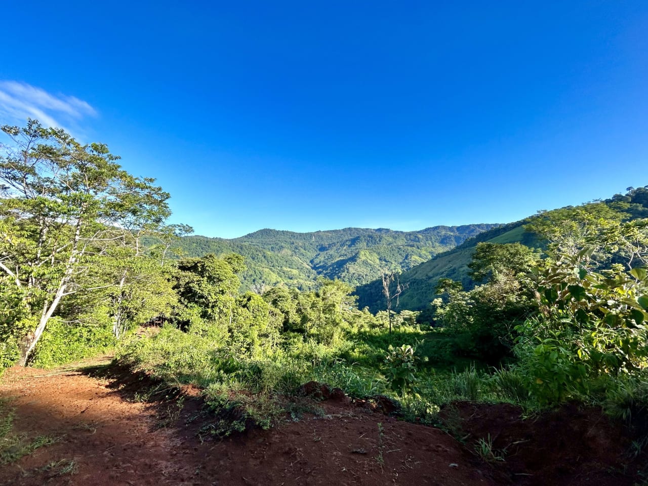 Over 123 Acres Farm in San Josecito De Morete, in Uvita Mountains