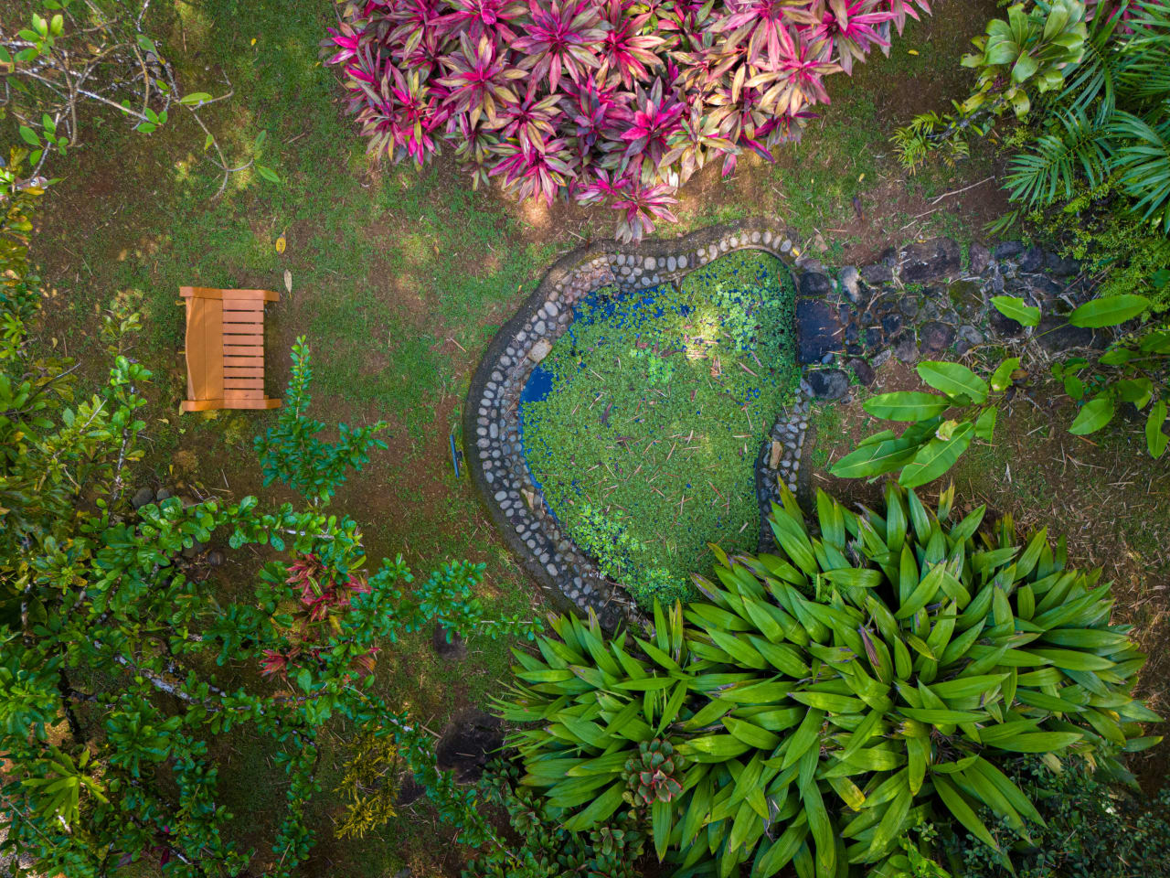 Bali Inspired Tropical Oasis – Ojochal