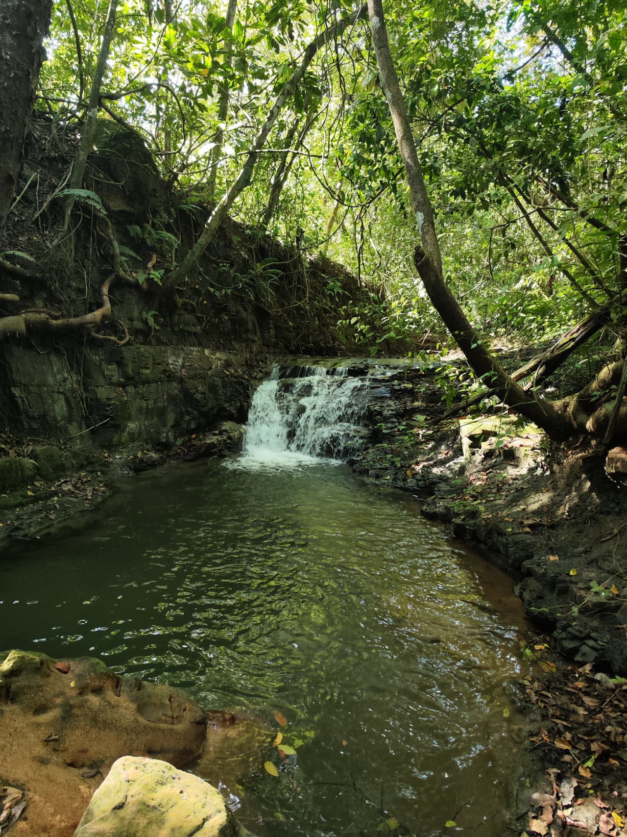 Finca Río General in Santa Luisa