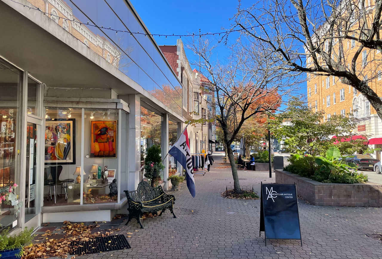 Dyanna Moon Maplewood/South Orange/Montclair Real Estate Specialist