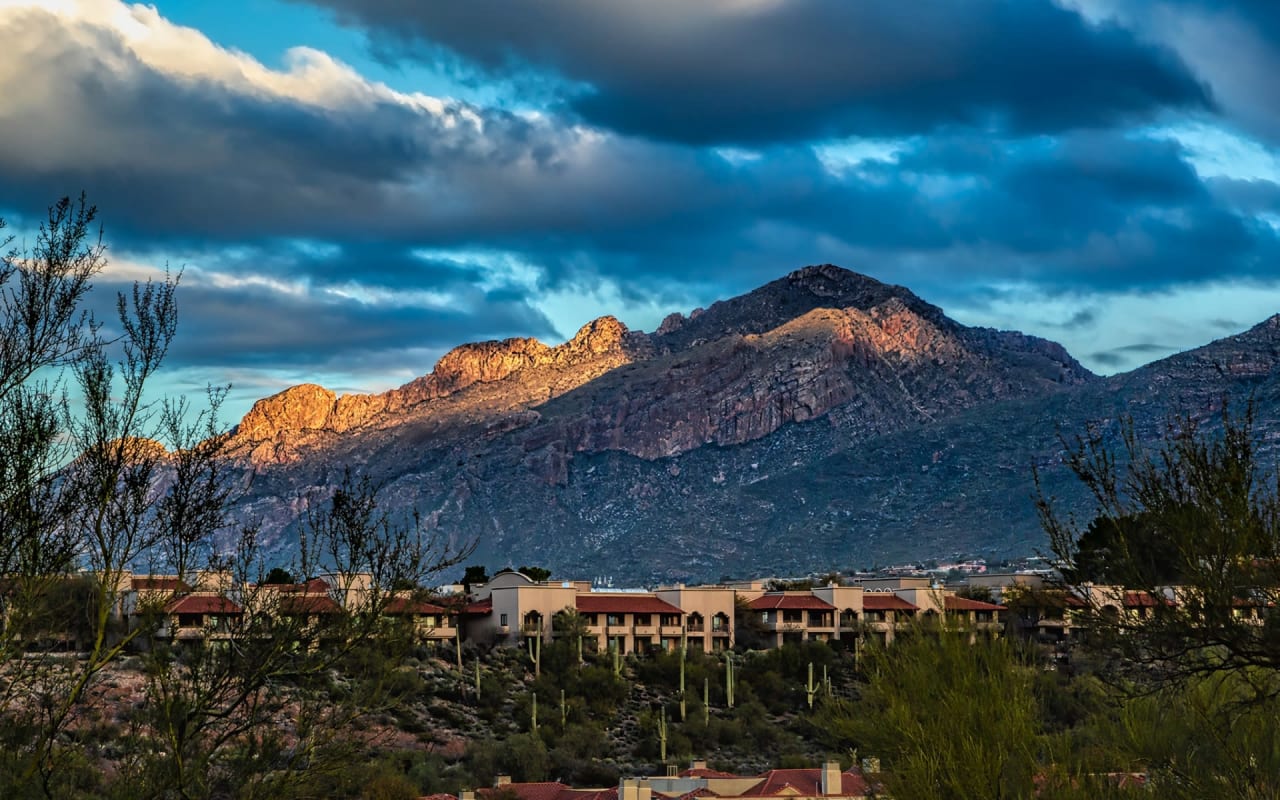 Navigating the Real Estate Market: First-Time Buyers in the Catalina Foothills