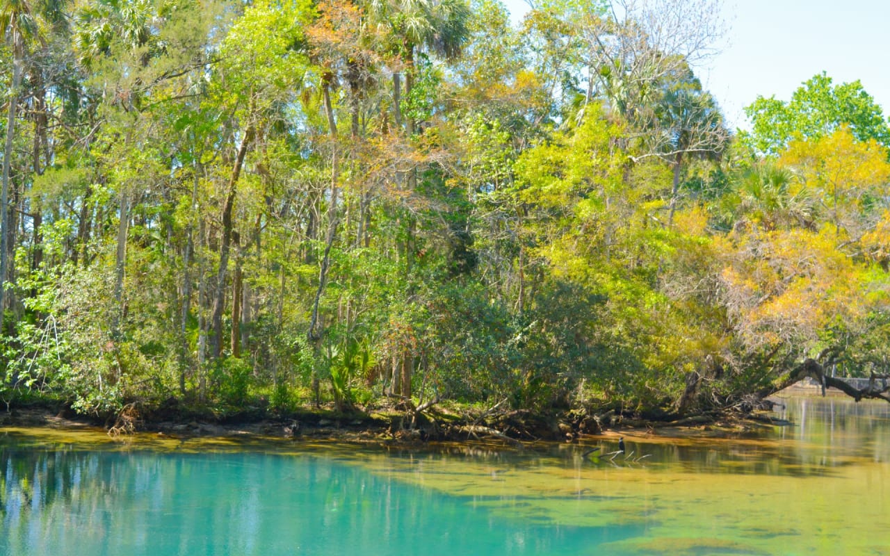 Homosassa