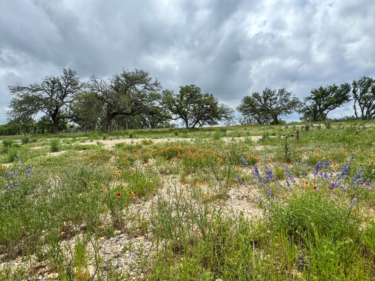 10.48 +/- ACRES | Unzoned 783 Ranch Road Frontage, Gillespie County, TX