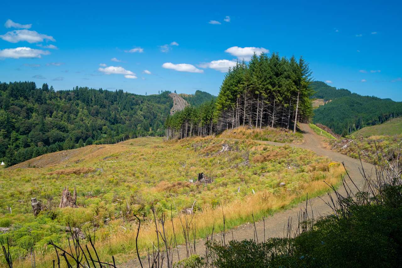 Eddyville/Sam's Creek Sealed Bid Offering (No Published Reserve)