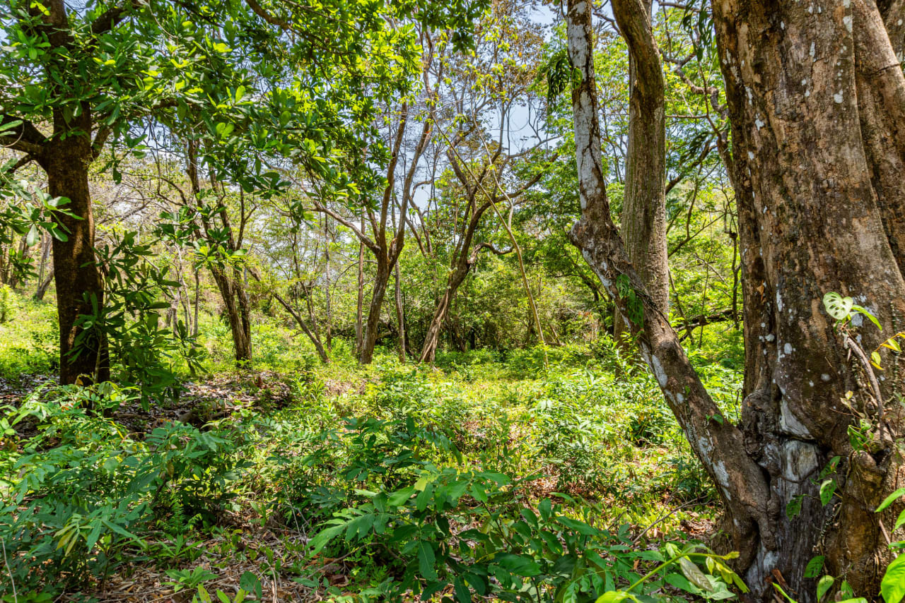 Finca Sueño del Mar between Playa Sámara and Playa Carrillo