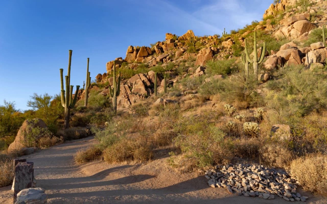 Phoenix's Hiking Trails for Nature Enthusiasts