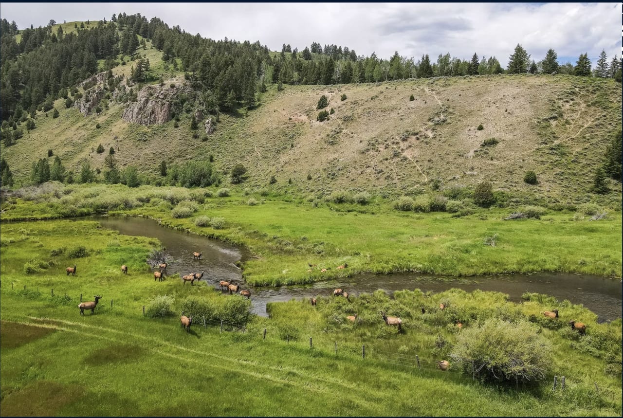 Historic Mead Ranch