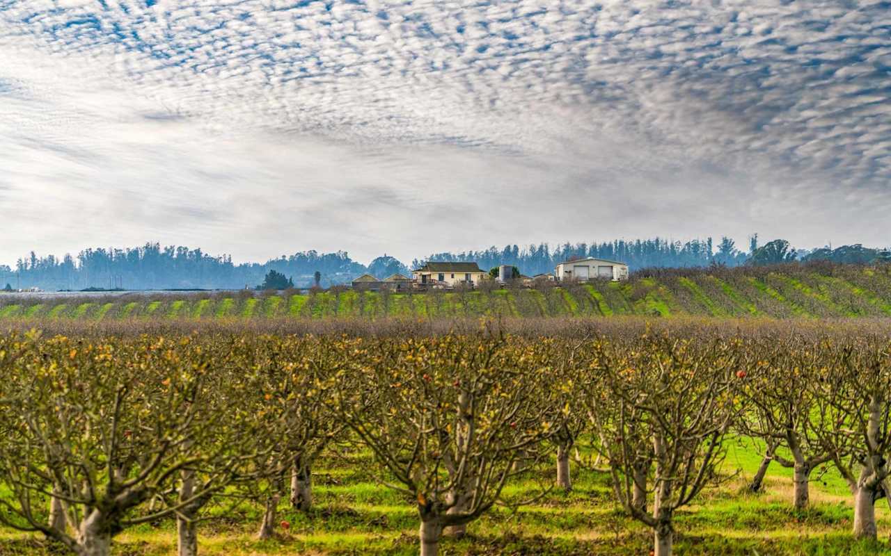 RF Real Estate Watsonville Homes for Sale