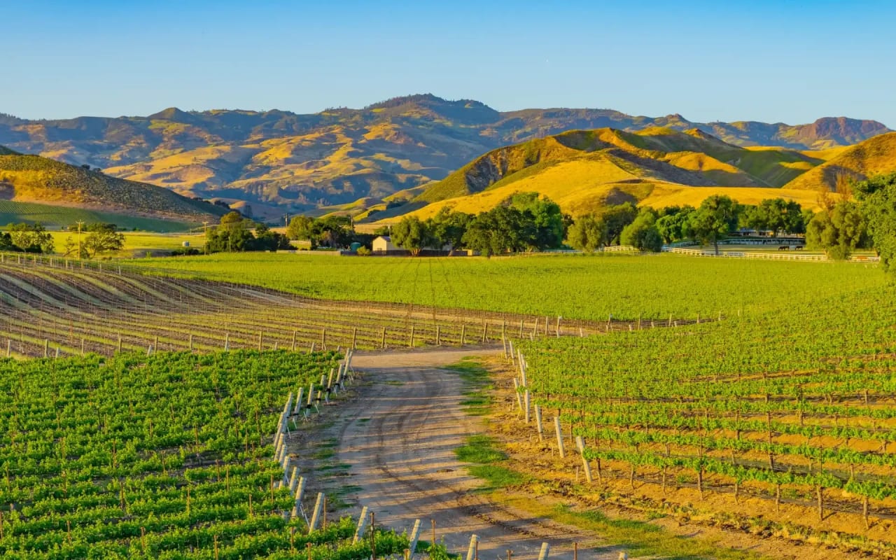 Press & Media Carey Kendall Santa Ynez Real Estate Agent