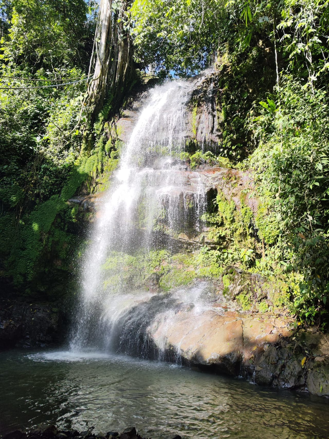 Finca Río General in Santa Luisa