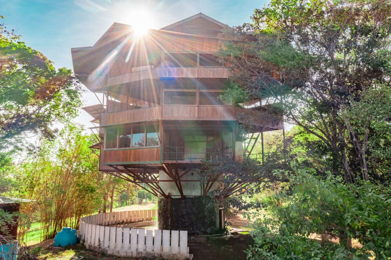 Pura Jungla Tower | Your Ultimate Nature Retreat in Guanacaste