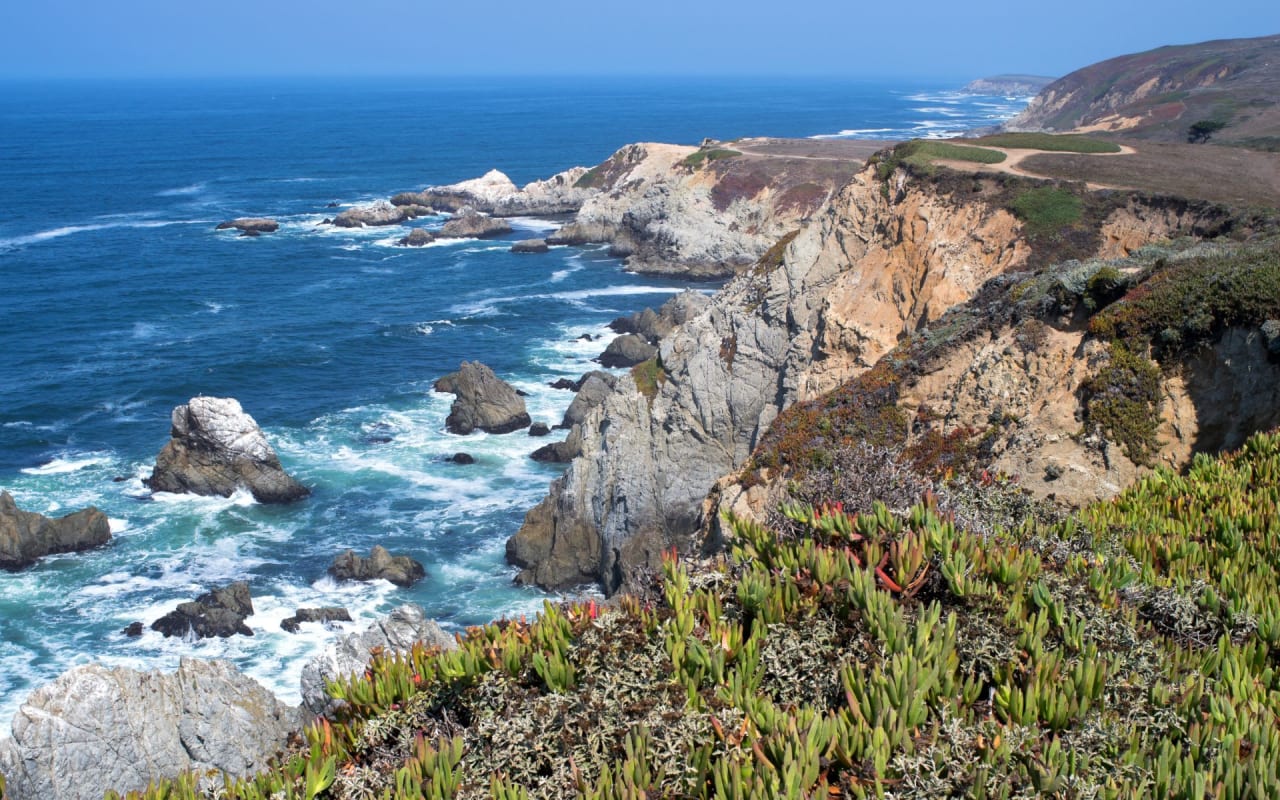 Sonoma Coast