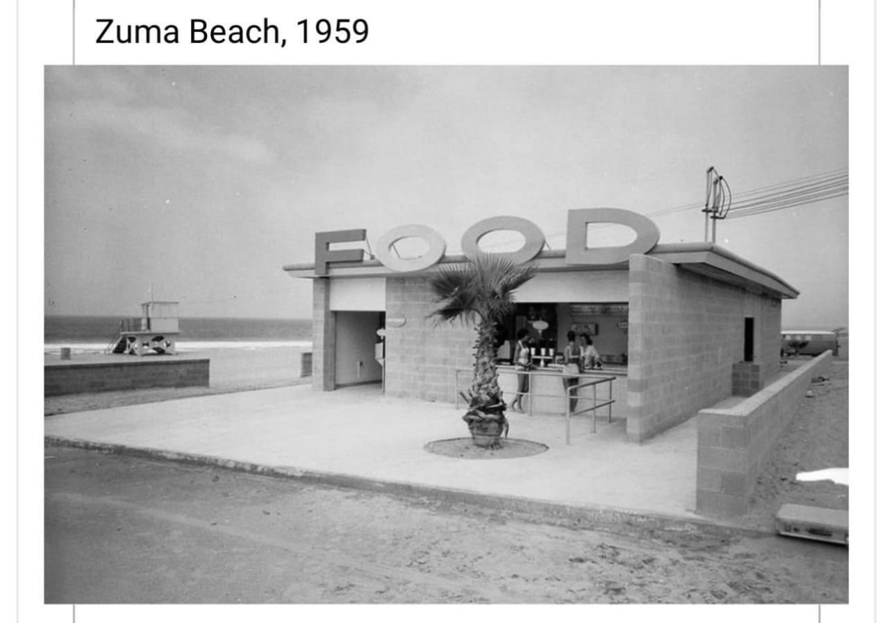 Zuma Beach Biodiversity – The Beach