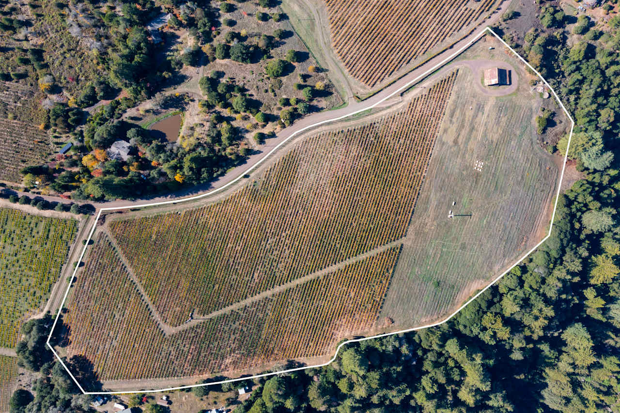 Anderson Valley, Vineyard Kevin McDonald