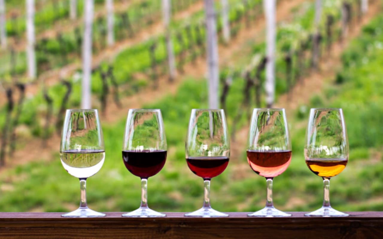 What Wines Are Paso Robles Known For?