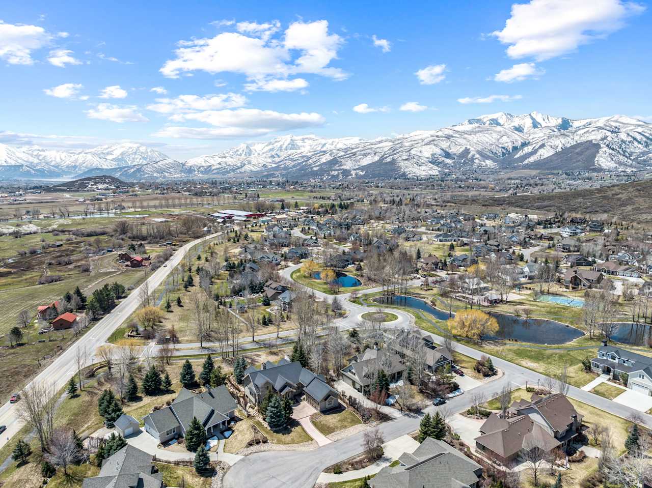 Dutch Fields Development