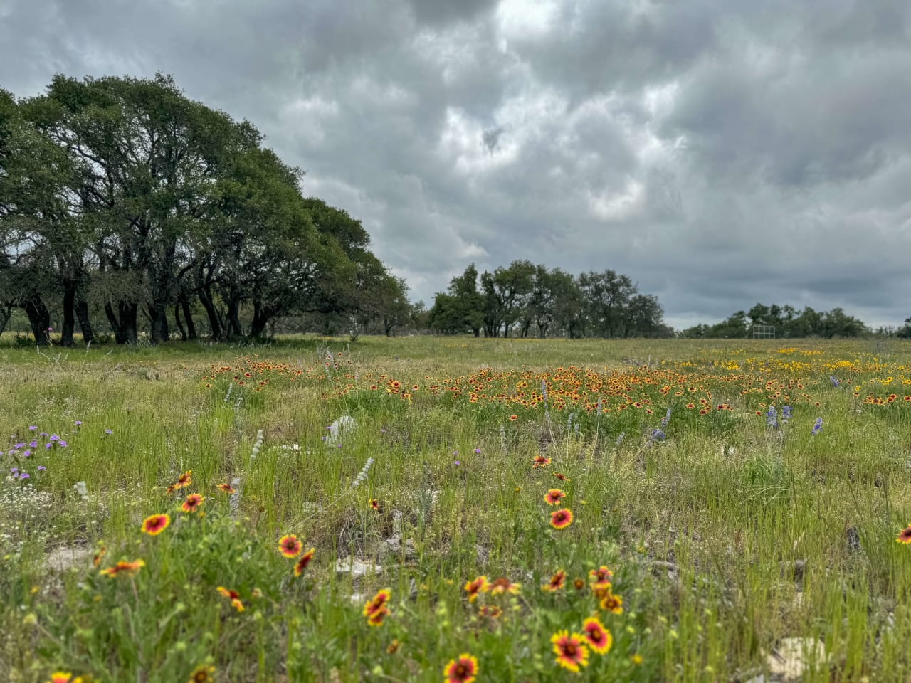 10.48 +/- ACRES | Unzoned 783 Ranch Road Frontage, Gillespie County, TX