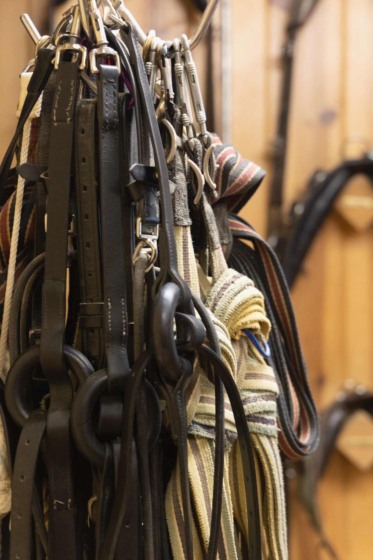 The Ranch Real Estate Niche - Santa Ynez | Carey Kendall Real Estate