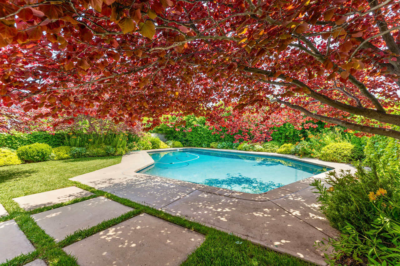 2382 Loma Vista Street