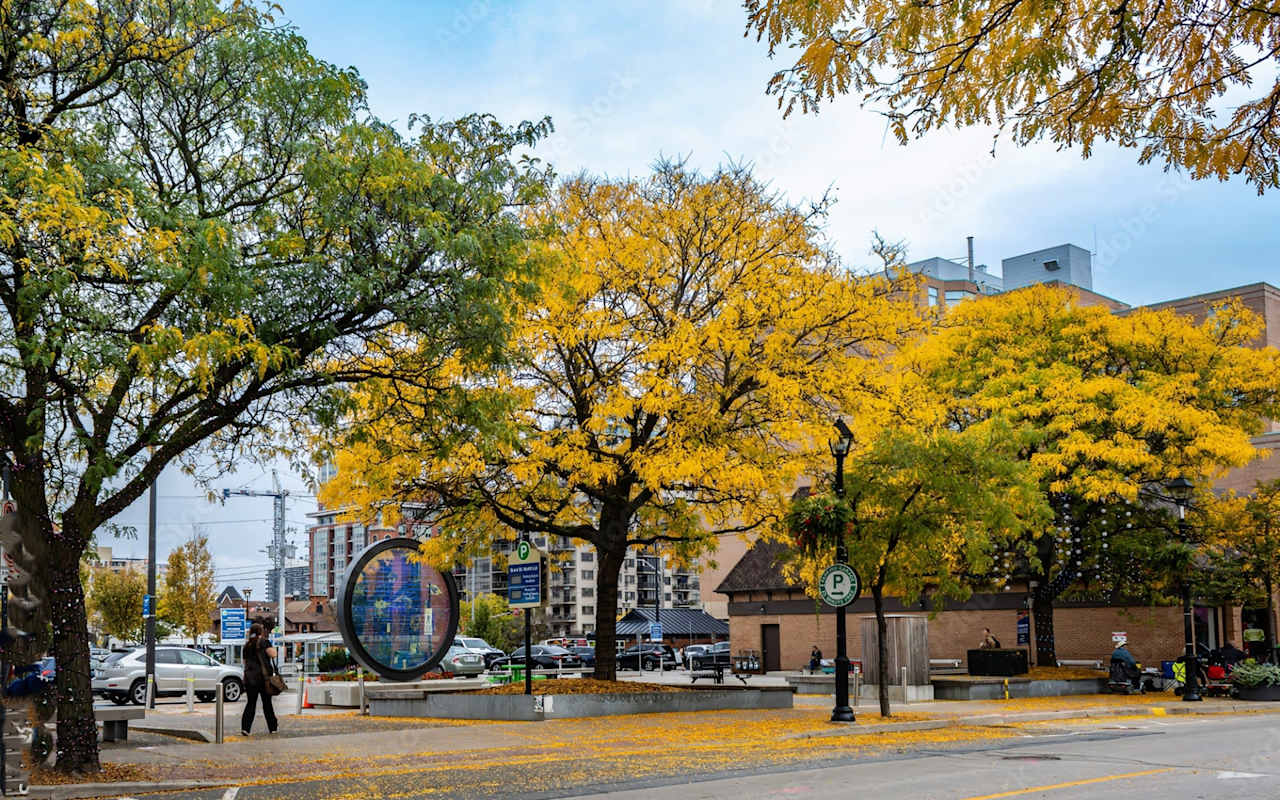 Luxurious Living Rina DiRisio's Guide to the Neighbourhoods of