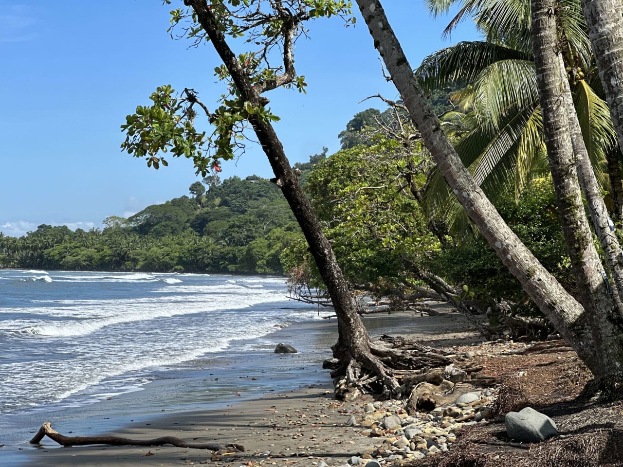 Escaleras, Dominical Ocean View Home 0.7 acre with Massive Studio Rancho