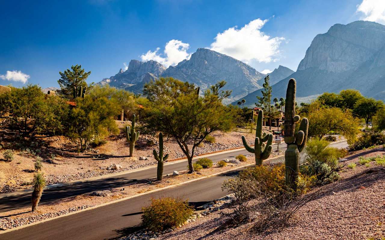 McDowell Mountain Ranch Real Estate & Homes For Sale