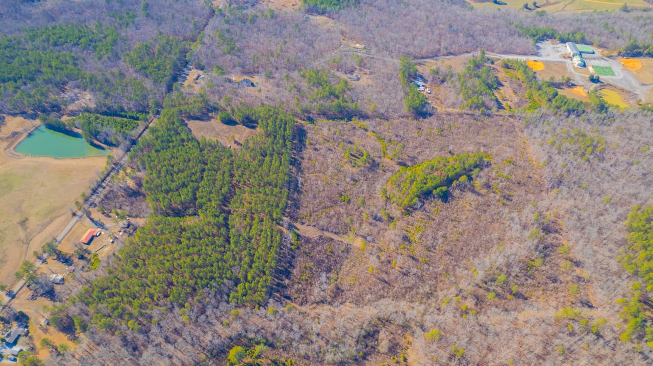 Farm & Land Auctions Davis Realty and Auction