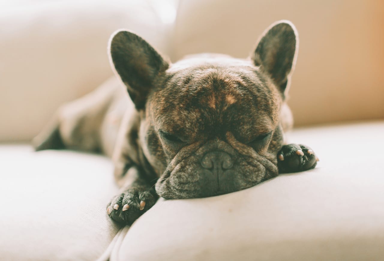 How to Avoid Buyer Fatigue in a Seller’s Market